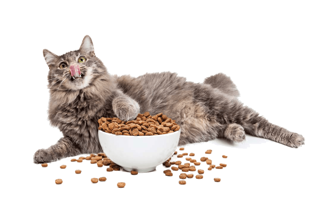 Pet Foods